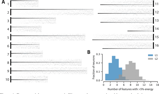 Figure 4 for A rotation-equivariant convolutional neural network model of primary visual cortex
