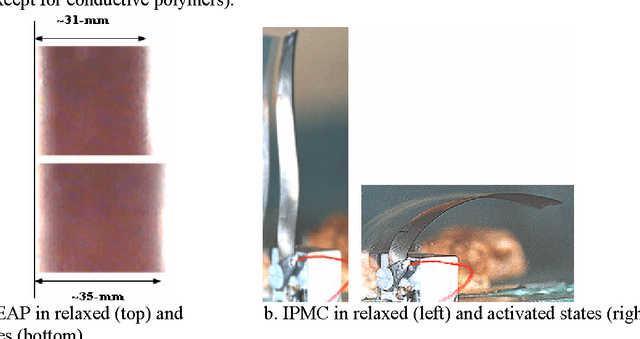 Figure 2 for Bionic Humans Using EAP as Artificial Muscles Reality and Challenges