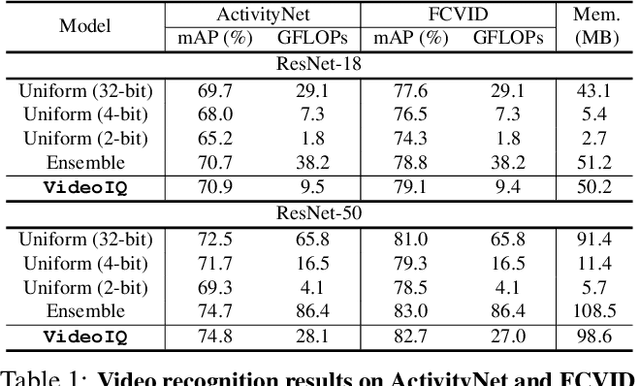 Figure 2 for Dynamic Network Quantization for Efficient Video Inference
