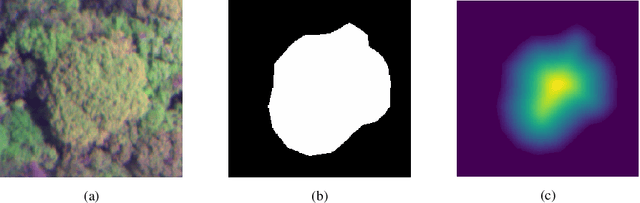 Figure 3 for Multi-task fully convolutional network for tree species mapping in dense forests using small training hyperspectral data