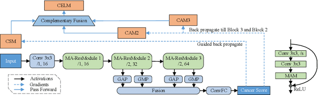 Figure 1 for CELNet: Evidence Localization for Pathology Images using Weakly Supervised Learning