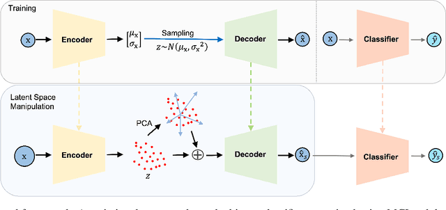 Figure 1 for Investigating Conversion from Mild Cognitive Impairment to Alzheimer's Disease using Latent Space Manipulation