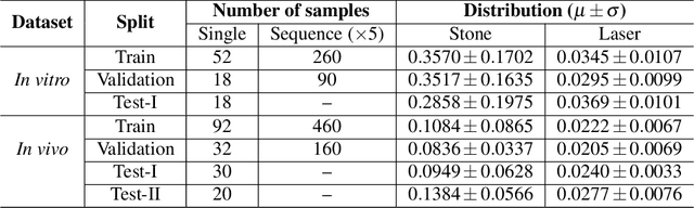 Figure 2 for Multi-class motion-based semantic segmentation for ureteroscopy and laser lithotripsy