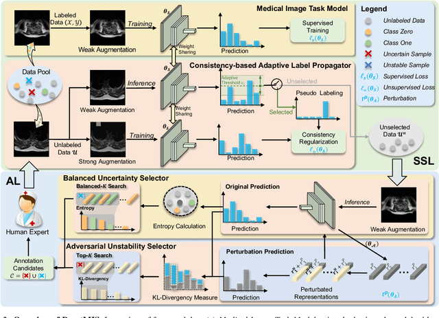 Figure 3 for BoostMIS: Boosting Medical Image Semi-supervised Learning with Adaptive Pseudo Labeling and Informative Active Annotation