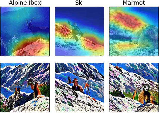 Figure 1 for Core Risk Minimization using Salient ImageNet