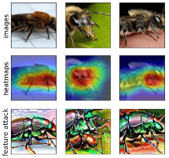 Figure 3 for Core Risk Minimization using Salient ImageNet