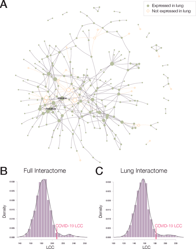 Figure 3 for Network Medicine Framework for Identifying Drug Repurposing Opportunities for COVID-19