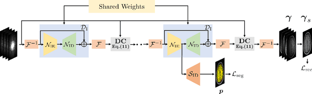 Figure 2 for Joint Calibrationless Reconstruction and Segmentation of Parallel MRI