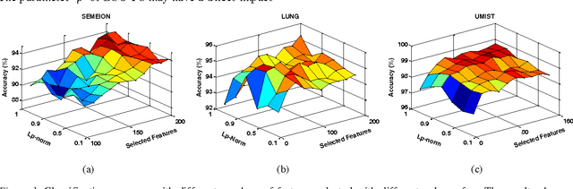 Figure 2 for Direct l_-Norm Learning for Feature Selection