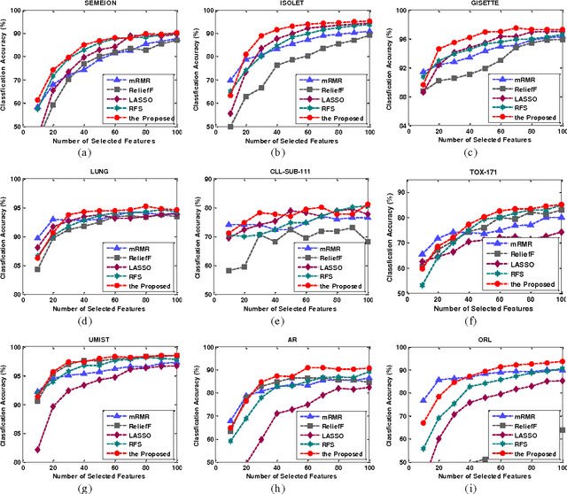 Figure 3 for Direct l_-Norm Learning for Feature Selection