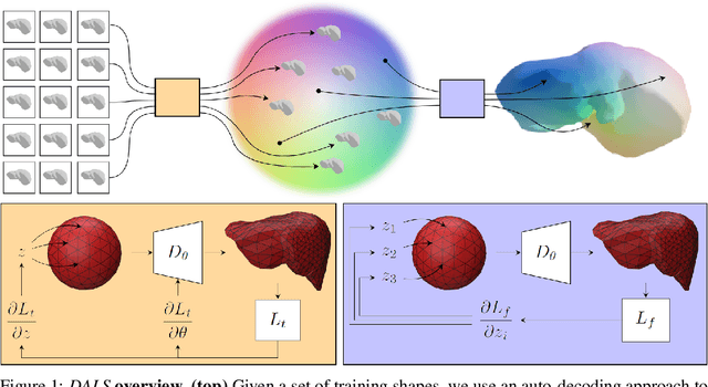 Figure 1 for Deep Active Latent Surfaces for Medical Geometries
