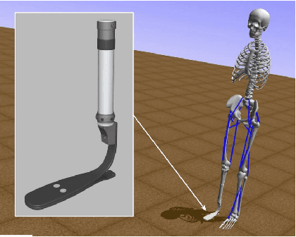 Figure 1 for Transfer Learning for Prosthetics Using Imitation Learning