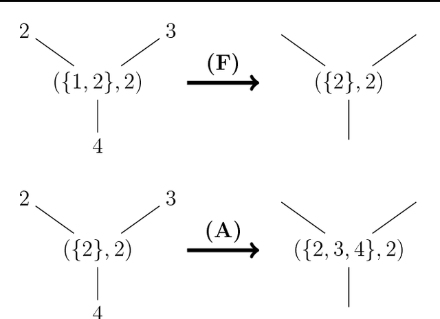 Figure 1 for Automata networks for memory loss effects in the formation of linguistic conventions