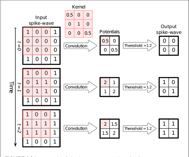 Figure 3 for SpykeTorch: Efficient Simulation of Convolutional Spiking Neural Networks with at most one Spike per Neuron