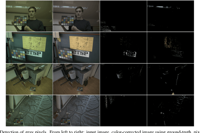 Figure 1 for Dichromatic Gray Pixel for Camera-agnostic Color Constancy