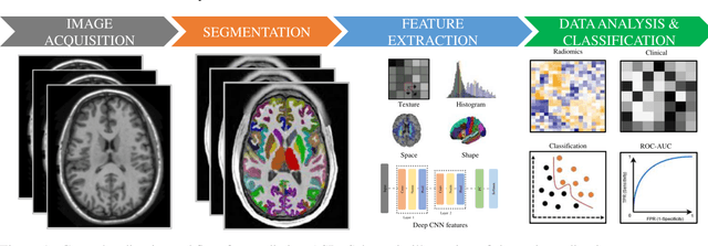 Figure 1 for Can autism be diagnosed with AI?