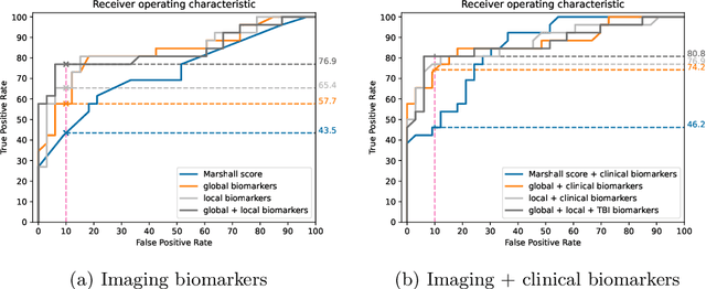 Figure 3 for Automatic lesion analysis for increased efficiency in outcome prediction of traumatic brain injury