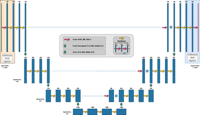 Figure 1 for First U-Net Layers Contain More Domain Specific Information Than The Last Ones