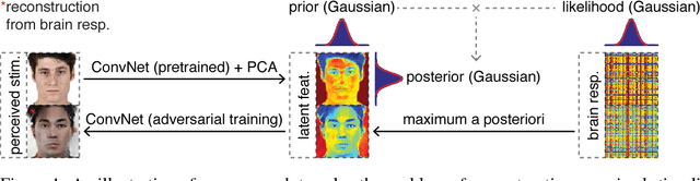 Figure 1 for Deep adversarial neural decoding