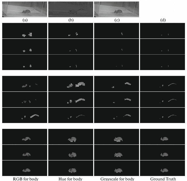 Figure 4 for Application of Superpixels to Segment Several Landmarks in Running Rodents
