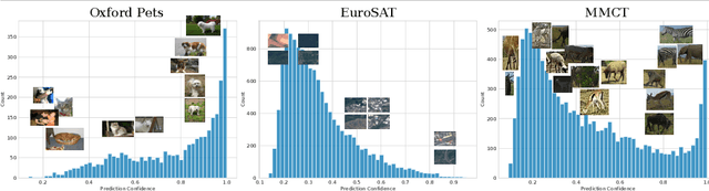 Figure 1 for SVL-Adapter: Self-Supervised Adapter for Vision-Language Pretrained Models