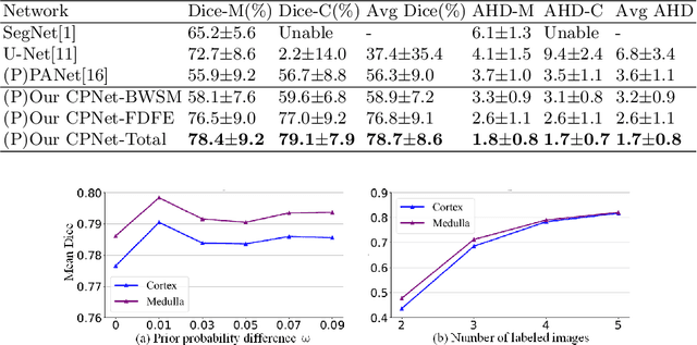 Figure 2 for CPNet: Cycle Prototype Network for Weakly-supervised 3D Renal Compartments Segmentation on CT Images