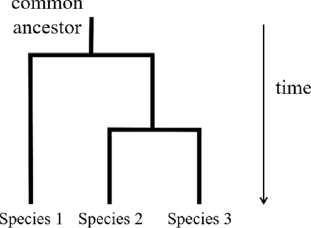 Figure 3 for Tropical Data Science