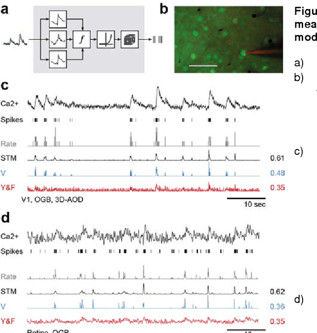 Figure 1 for Supervised learning sets benchmark for robust spike detection from calcium imaging signals