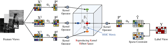 Figure 1 for CEMENT: Incomplete Multi-View Weak-Label Learning with Long-Tailed Labels