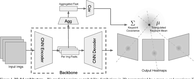Figure 1 for Human 3D keypoints via spatial uncertainty modeling