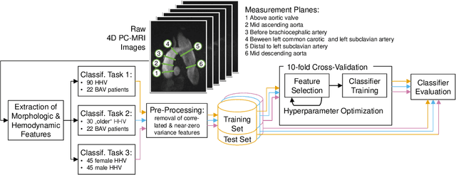 Figure 3 for Cardiac Cohort Classification based on Morphologic and Hemodynamic Parameters extracted from 4D PC-MRI Data