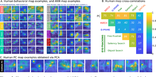 Figure 3 for Passive attention in artificial neural networks predicts human visual selectivity