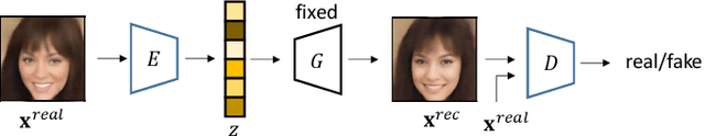 Figure 2 for Facial Image Reconstruction from Functional Magnetic Resonance Imaging via GAN Inversion with Improved Attribute Consistency