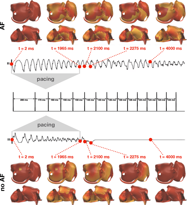 Figure 3 for Fast characterization of inducible regions of atrial fibrillation models with multi-fidelity Gaussian process classification