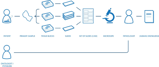 Figure 1 for Towards the Augmented Pathologist: Challenges of Explainable-AI in Digital Pathology
