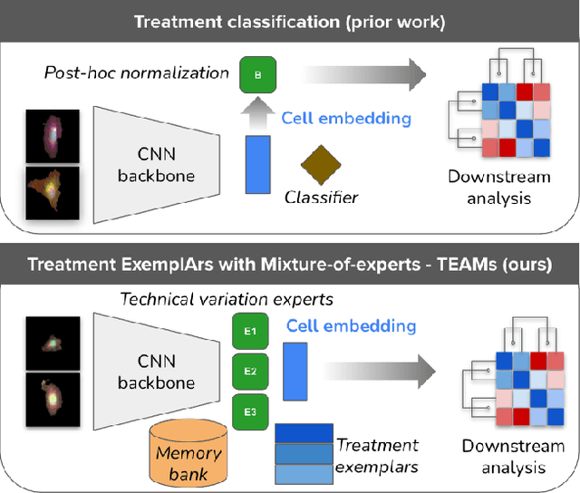 Figure 1 for Anchoring to Exemplars for Training Mixture-of-Expert Cell Embeddings