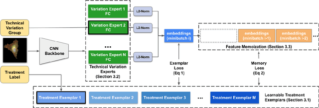 Figure 3 for Anchoring to Exemplars for Training Mixture-of-Expert Cell Embeddings