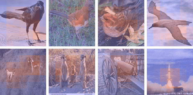 Figure 1 for Few-Shot Few-Shot Learning and the role of Spatial Attention