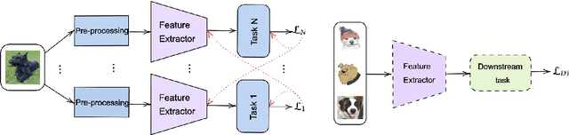 Figure 1 for Improving out-of-distribution generalization via multi-task self-supervised pretraining