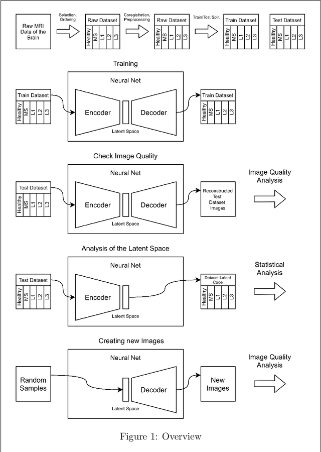 Figure 1 for Latent Space Analysis of VAE and Intro-VAE applied to 3-dimensional MR Brain Volumes of Multiple Sclerosis, Leukoencephalopathy, and Healthy Patients