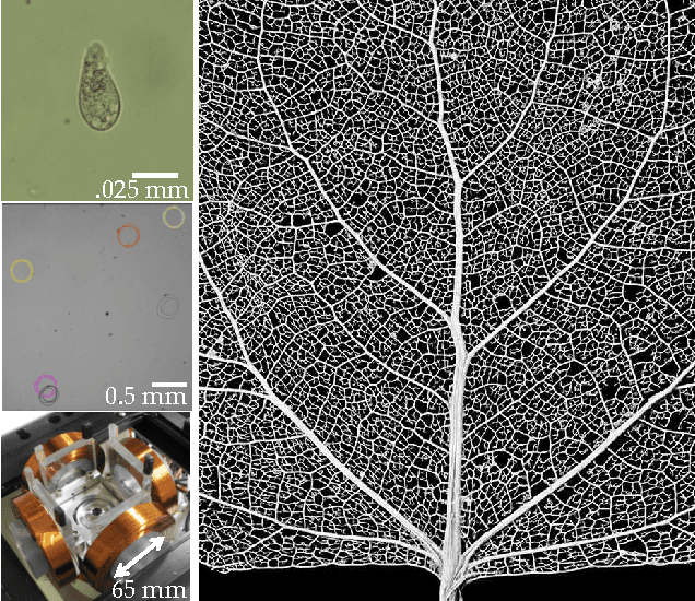 Figure 1 for Particle Computation: Designing Worlds to Control Robot Swarms with only Global Signals