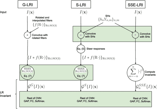 Figure 3 for Local Rotation Invariance in 3D CNNs