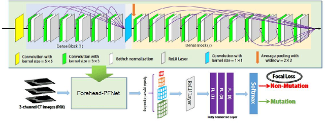Figure 3 for Pyramid Focusing Network for mutation prediction and classification in CT images