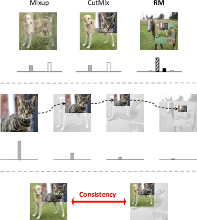 Figure 2 for RecursiveMix: Mixed Learning with History