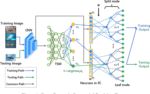 Figure 1 for Making CNNs Interpretable by Building Dynamic Sequential Decision Forests with Top-down Hierarchy Learning