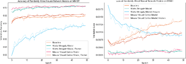 Figure 4 for Deep Connectomics Networks: Neural Network Architectures Inspired by Neuronal Networks