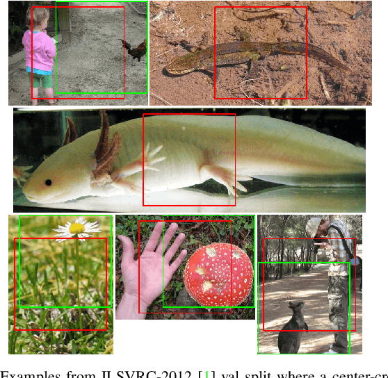 Figure 1 for Enhanced Performance of Pre-Trained Networks by Matched Augmentation Distributions