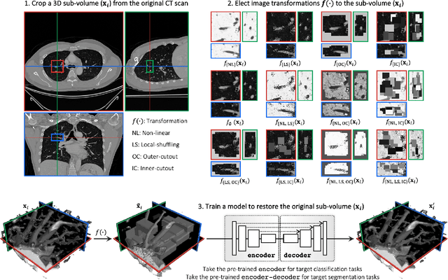 Figure 2 for Models Genesis