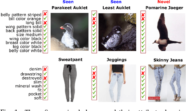Figure 1 for Compositional Fine-Grained Low-Shot Learning