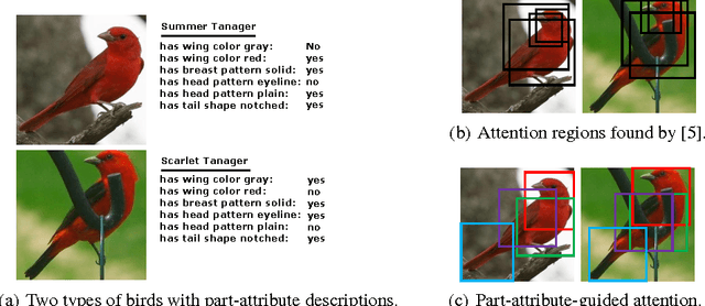 Figure 1 for Localizing by Describing: Attribute-Guided Attention Localization for Fine-Grained Recognition